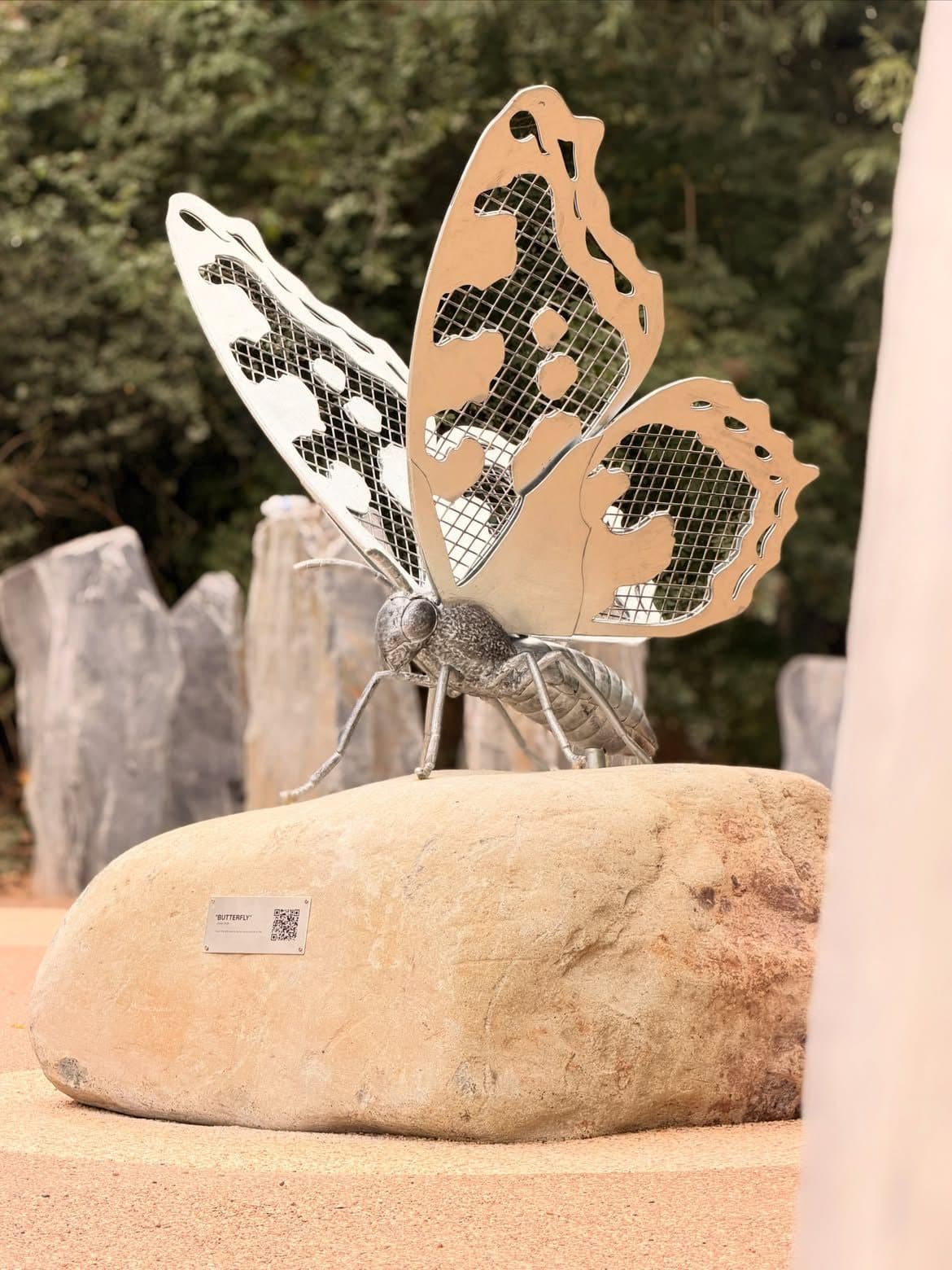 The Butterfly