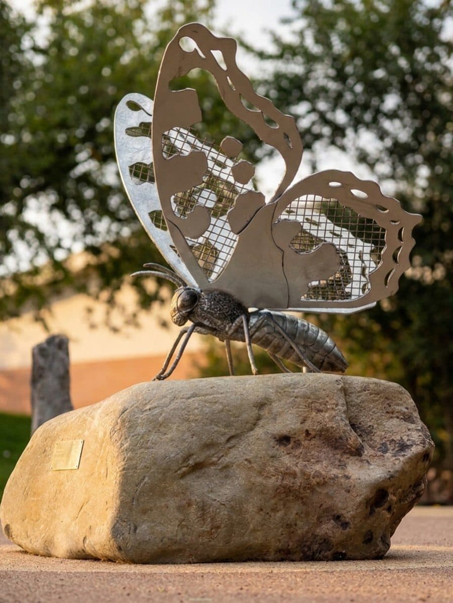The Butterfly